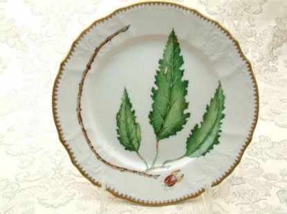 Picture of Salad Plates
