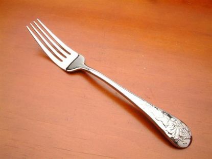 Picture of Place Forks