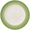 Picture of New Dinner Plate