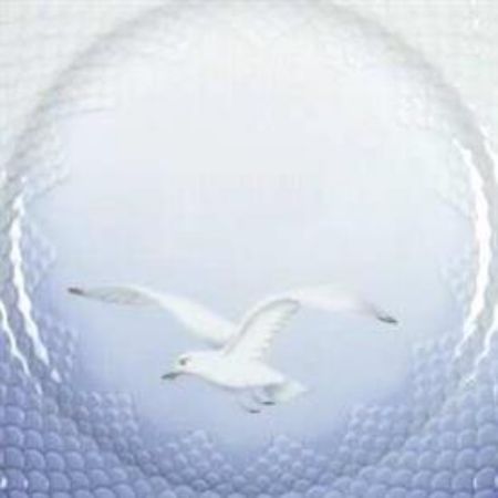 Picture for pattern Seagull