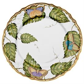 Picture for category Exotic Butterflies