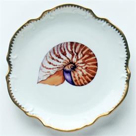 Show products in category Seascape, Shell