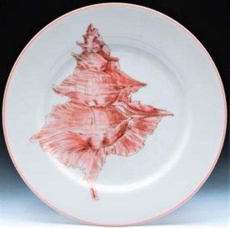 Picture for pattern Coquille