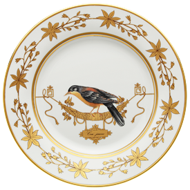 Picture for category Voliere Cou Jaune