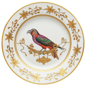 Picture for category Voliere Perroquet Nestor