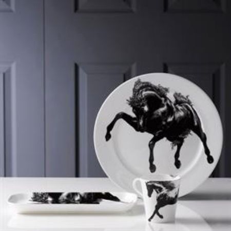 Picture for pattern Equus, Black & White