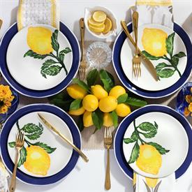 Show products in the Limoni pattern