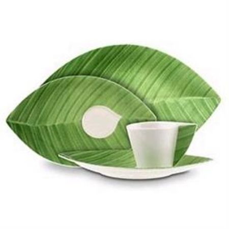 Picture for pattern Palm Leaf
