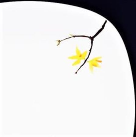 Picture for pattern Painted Garden, Forsythia