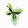 Picture of 'Anamosa' Exotic Butterfly Figurine with Stand #622739 by Swarovski Crystal