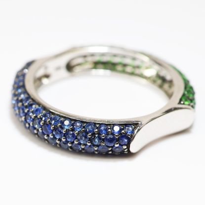 Picture of 14k White Gold Tsavorite Garnet and Sapphire Ring