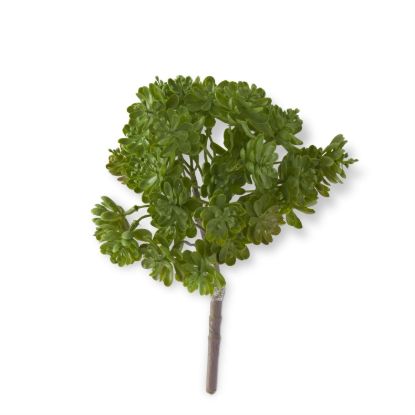 Picture of Faux Jade Succulent Bush