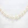 Picture of Strand of Pearls with 14k Yellow Gold Clasp
