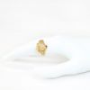 Picture of 14k Yellow Gold Diamond & Ruby Lion Head Ring