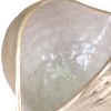 Picture of Large 'Castanea' Bowl