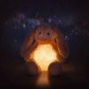 Picture of "Light at Night" Hoppie Rabbit