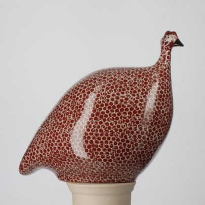 Picture of Large Bordeaux Guinea Hen with White Spots
