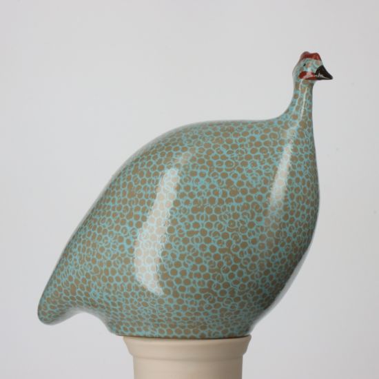 Picture of Large Grey Guinea Hen with Sky Blue Spots