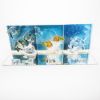 Picture of Complete "Wonders of the Sea" Trilogy 2005, 2006, 2007 SCS Member Pieces with Boxes and Plaques