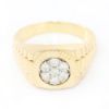 Picture of 14k Yellow Gold Brilliant Diamond Ring