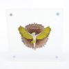 Picture of 2025 Cameroon Icarus 2 Ounce Silver Gilded Coin