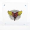Picture of 2025 Cameroon Icarus 2 Ounce Silver Gilded Coin