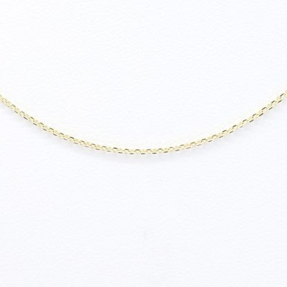 Picture of 14k Yellow Gold Thin Adjustable Necklace