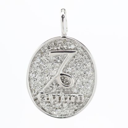 Picture of 14k White Gold Pavé Set Capricorn Pendant/Charm
