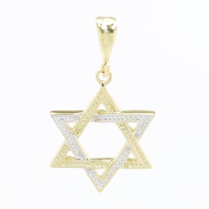 Picture of 14k Two Tone Gold Star of David Pendant