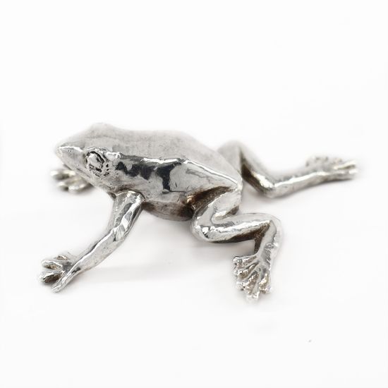 Picture of 999 Pure Silver Frog