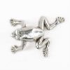 Picture of 999 Pure Silver Frog