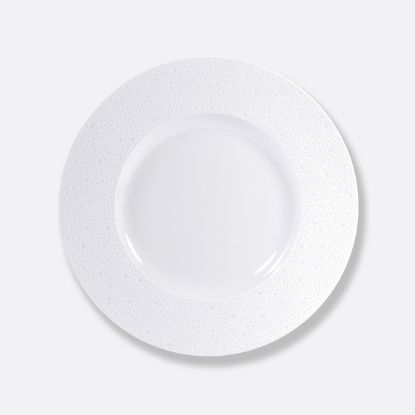 Picture of New Service Plate 11.5"