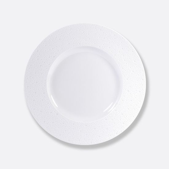 Picture of New Service Plate 11.5"
