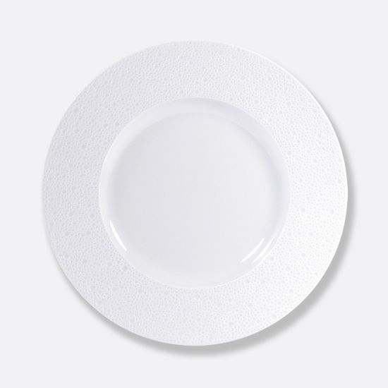 Picture of New Large Service Plate 12.5"
