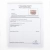 Picture of 14k Rose Gold Pavé Set Diamond Ring