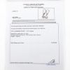 Picture of 14k White Gold Leverback Solitaire Diamond Earrings
