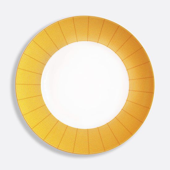 Picture of New Service Plate 12.5"