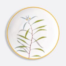 Picture of New Dinner Plate 10.6"