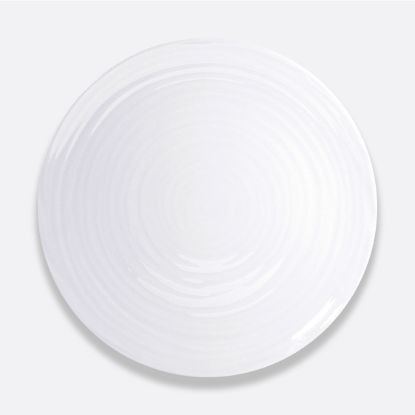 Picture of New Service Plate 12"