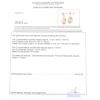 Picture of 14k Yellow Gold Citrine & Diamond Drop Earrings