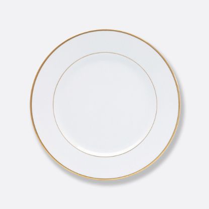 Picture of New Dinner Plate 10.5"
