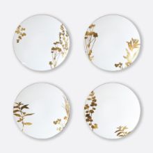Picture of New Set of 4 Dinner Plates 10.6", Assorted